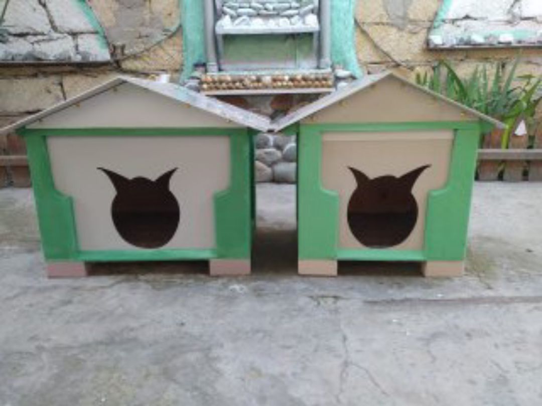 Pişik yuvası — Heyvan malları, Bakı (3)