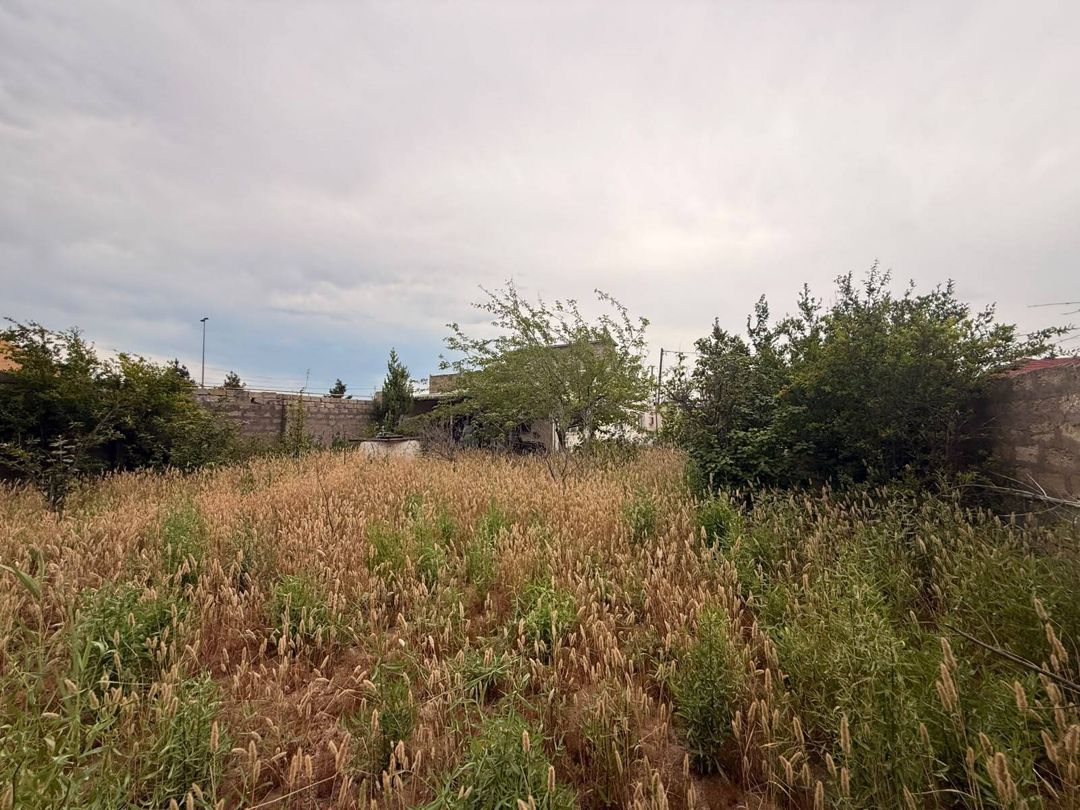 7 sot torpaq sahəsi, Buzovna qəs — Torpaq, Bakı (4)