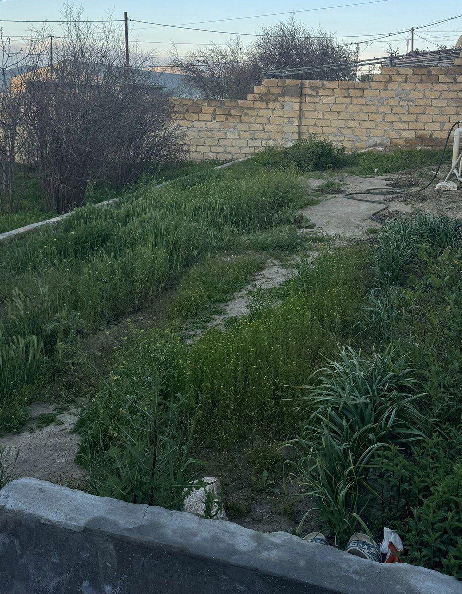 Satılır torpaq 3 sot — Torpaq, Bakı (2)