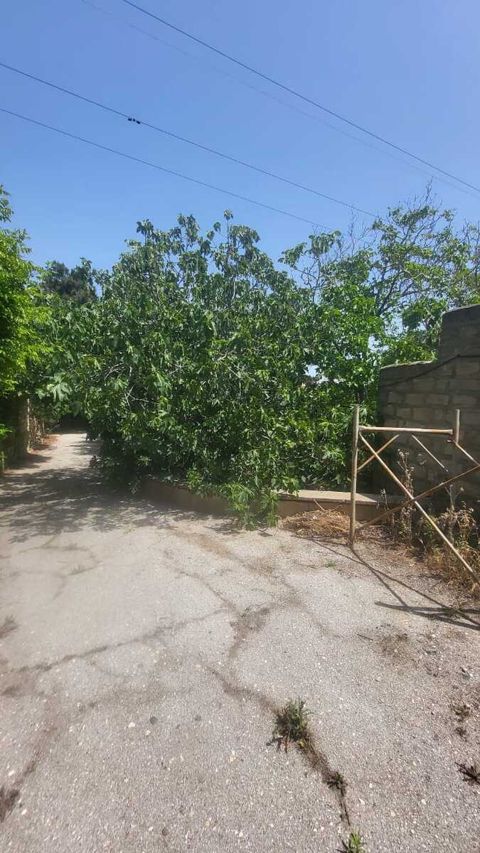 Satılır torpaq 25 sot — Bakı