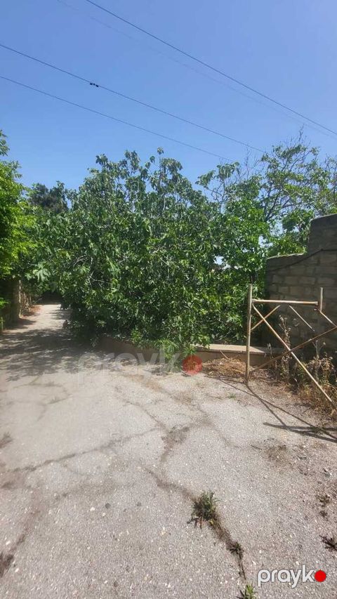 Satılır torpaq 25 sot
