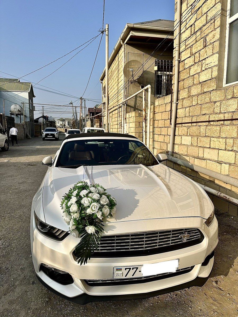 Toy avtomobillərinin icarəsi — Avtomobil icarəsi, Bakı (4)