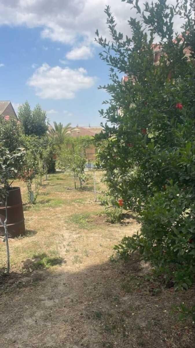 Satılır 9 otaqlı həyət evi/bağ evi 535 m² — Ev, villa, Bakı (5)