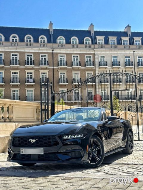 Ford Mustang, 2.3 L, 2024 il, 65 000 km