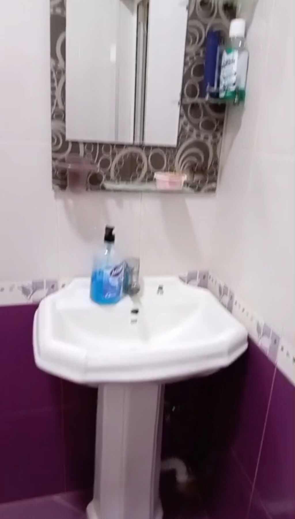Ramani Susa qesebesinde 2 otaqli adelni heyet evi kiraye verilir — Mənzil, Bakı (8)