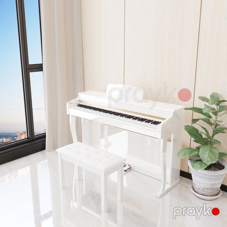 Elektro piano "Allegro, AG - F100 Polısh - White" — Musiqiə alətləri, Bakı (2)