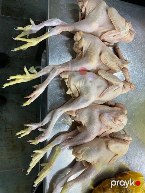 Kənd çolpası