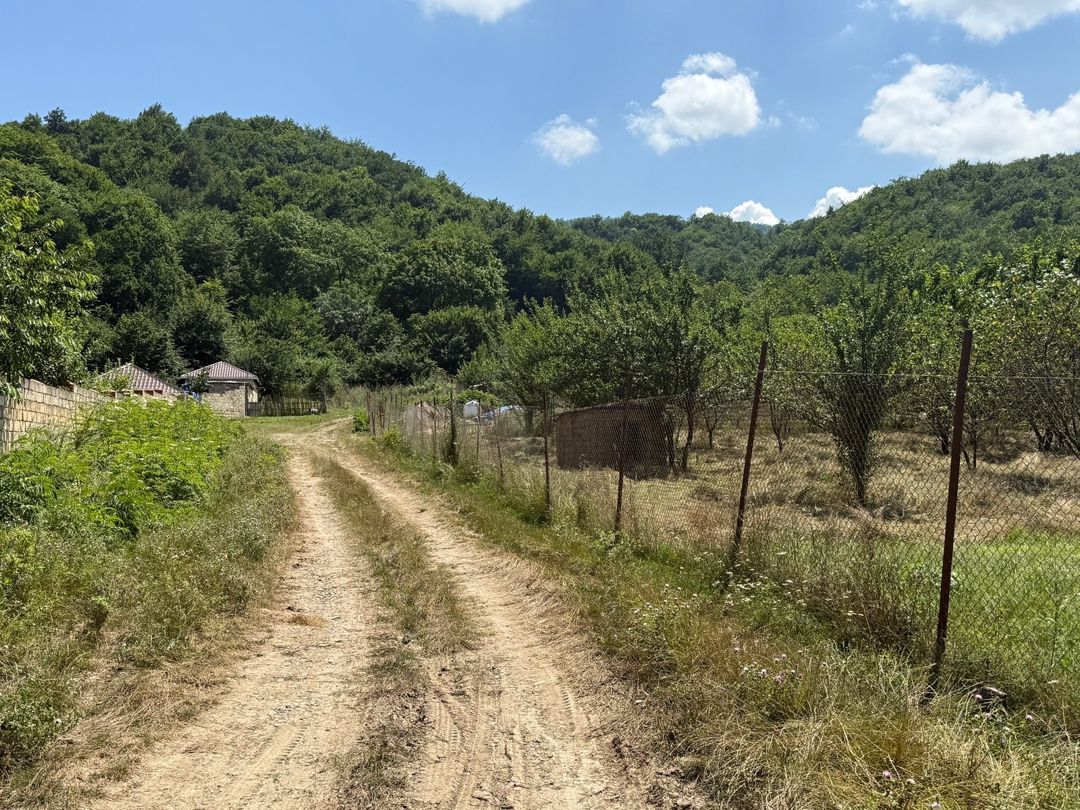 6 sot torpaq sahəsi, Qusar r — Torpaq, Qusar (9)