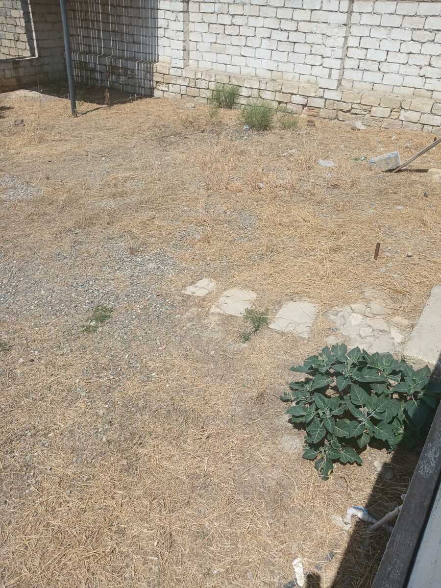 Satılır torpaq 3 sot — Torpaq, Bakı (2)