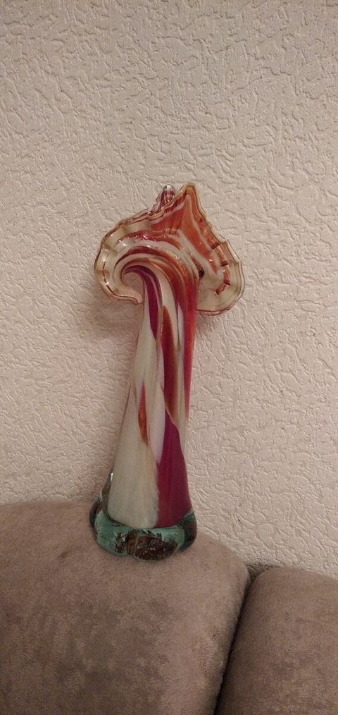 Meduza güldan — Bakı