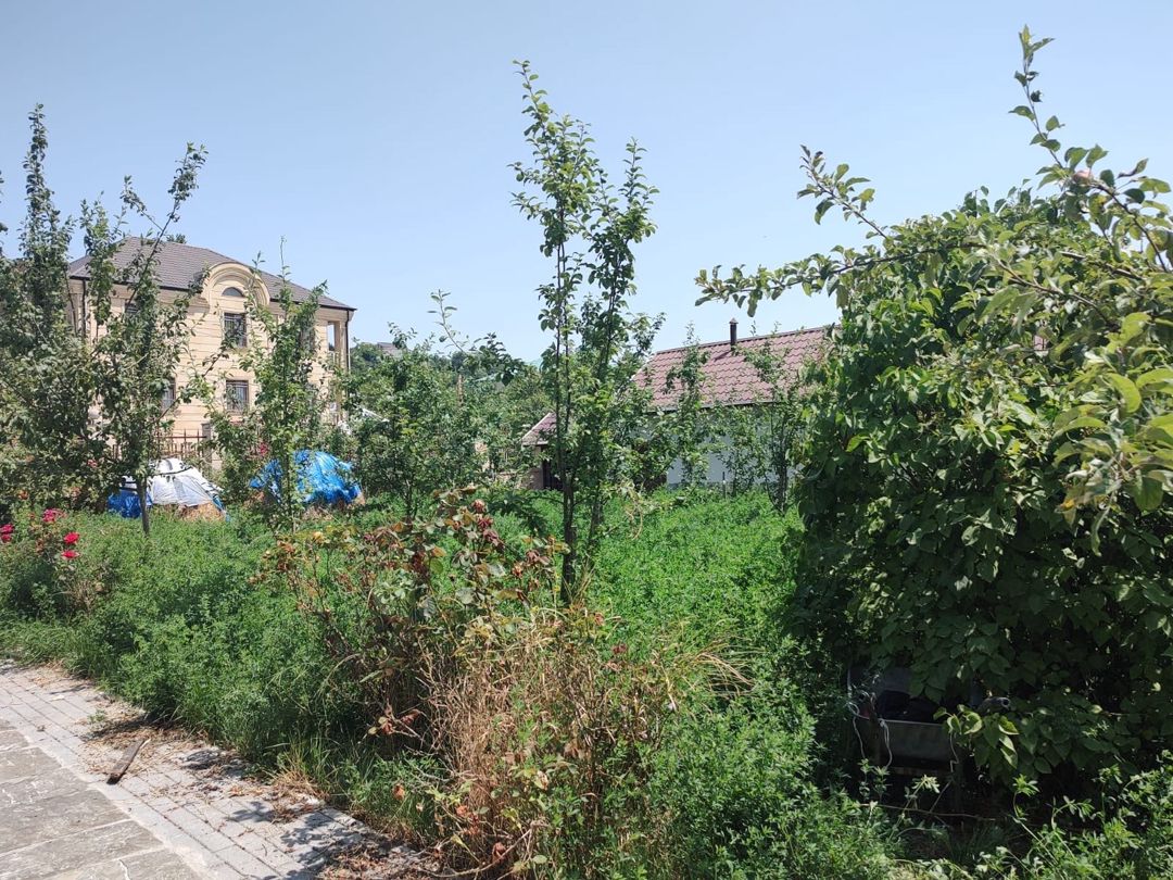 Satılır 4 otaqlı həyət evi/bağ evi 300 m² — Ev, villa, Şamaxı (4)