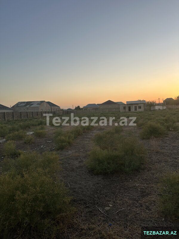 Torpaq Sahəsi — Torpaq, Bakı (2)