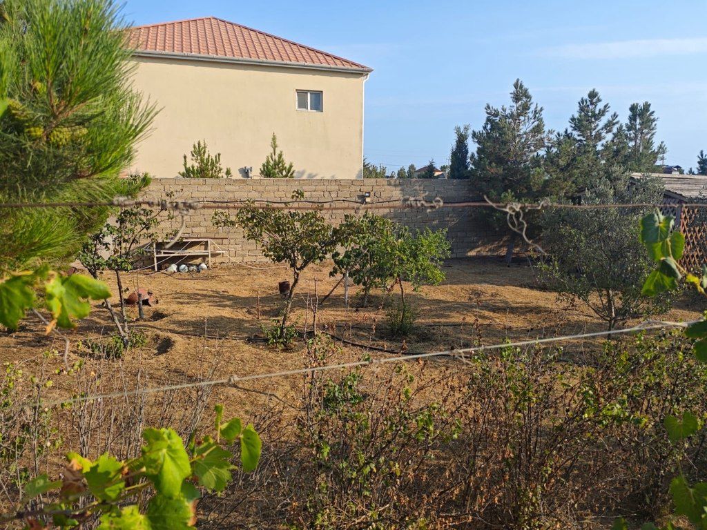 12 sot torpaq sahəsi, Zirə qəs — Torpaq, Bakı (10)