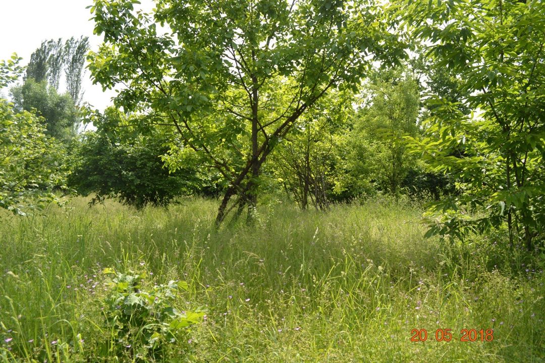 Satılır 4 otaqlı həyət evi/bağ evi 120 m² — Ev, villa, Oğuz (3)