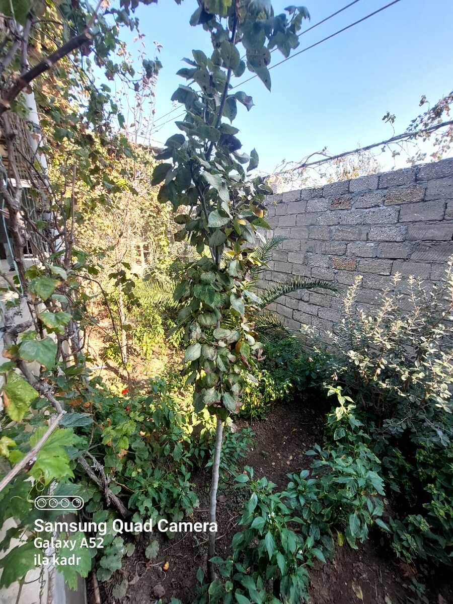 Satılır 4 otaqlı həyət evi/bağ evi 165 m² — Ev, villa, Bakı (3)