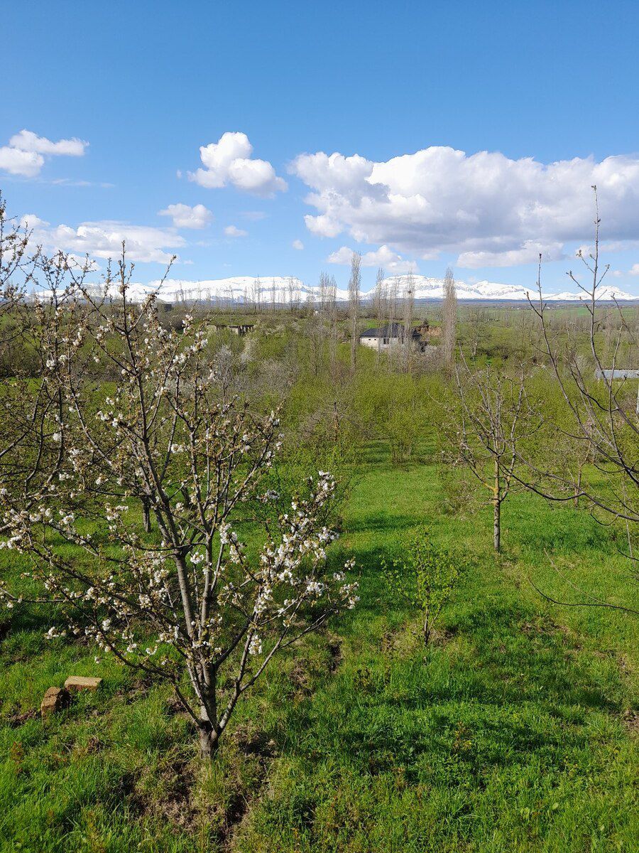 Həyət evi, Qusar r — Ev, villa, Qusar (11)
