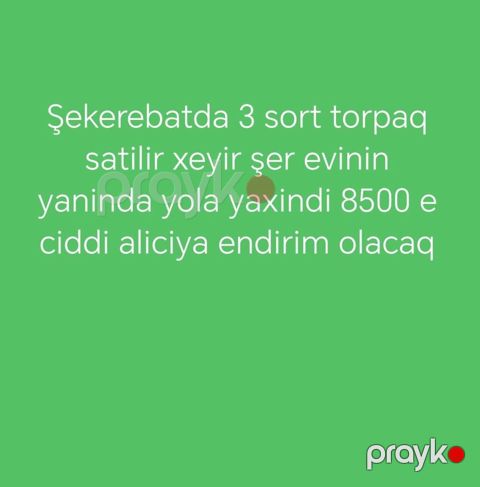 3 sot