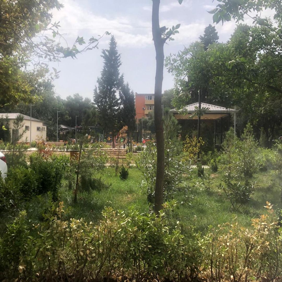 Satılır 3 otaqlı köhnə tikili 65 m² — Mənzil, Bakı (2)