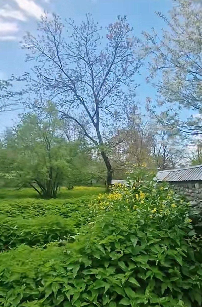 3 sot torpaq sahəsi, Nohurqışlaq k — Torpaq, Qəbələ (4)