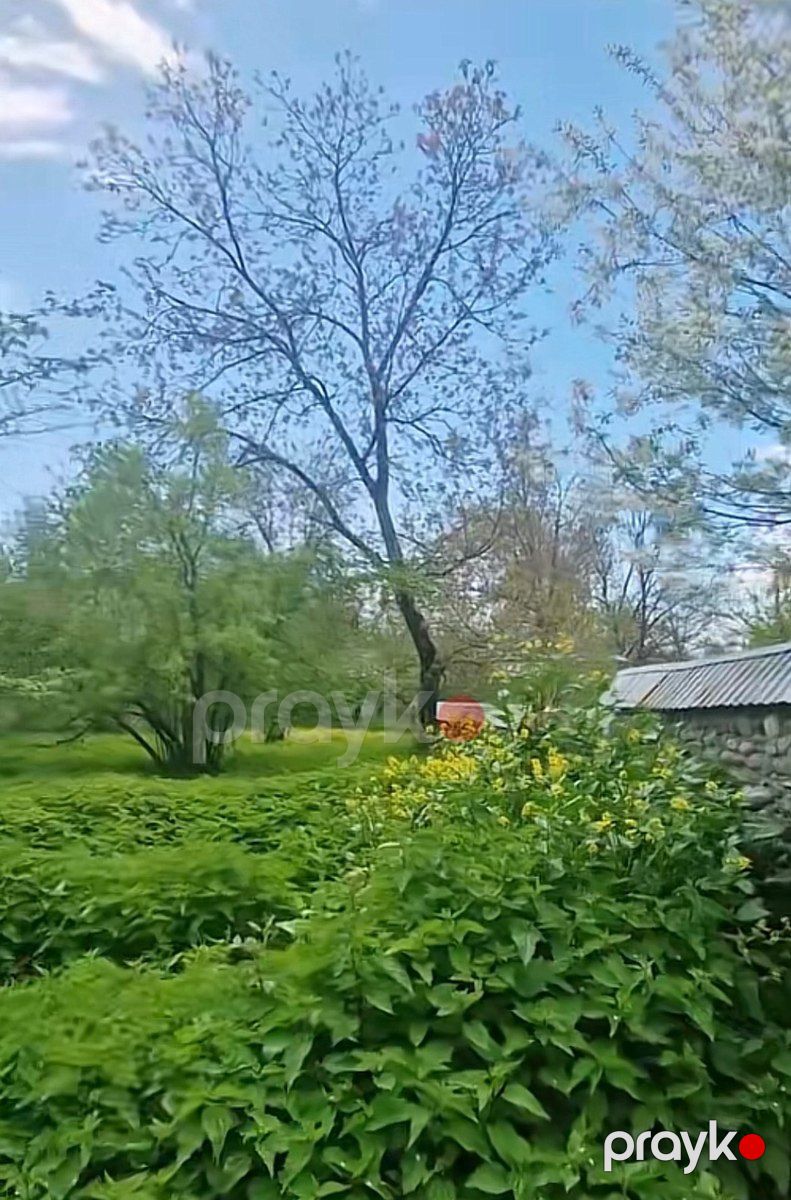 3 sot torpaq sahəsi, Nohurqışlaq k — Torpaq, Qəbələ (4)