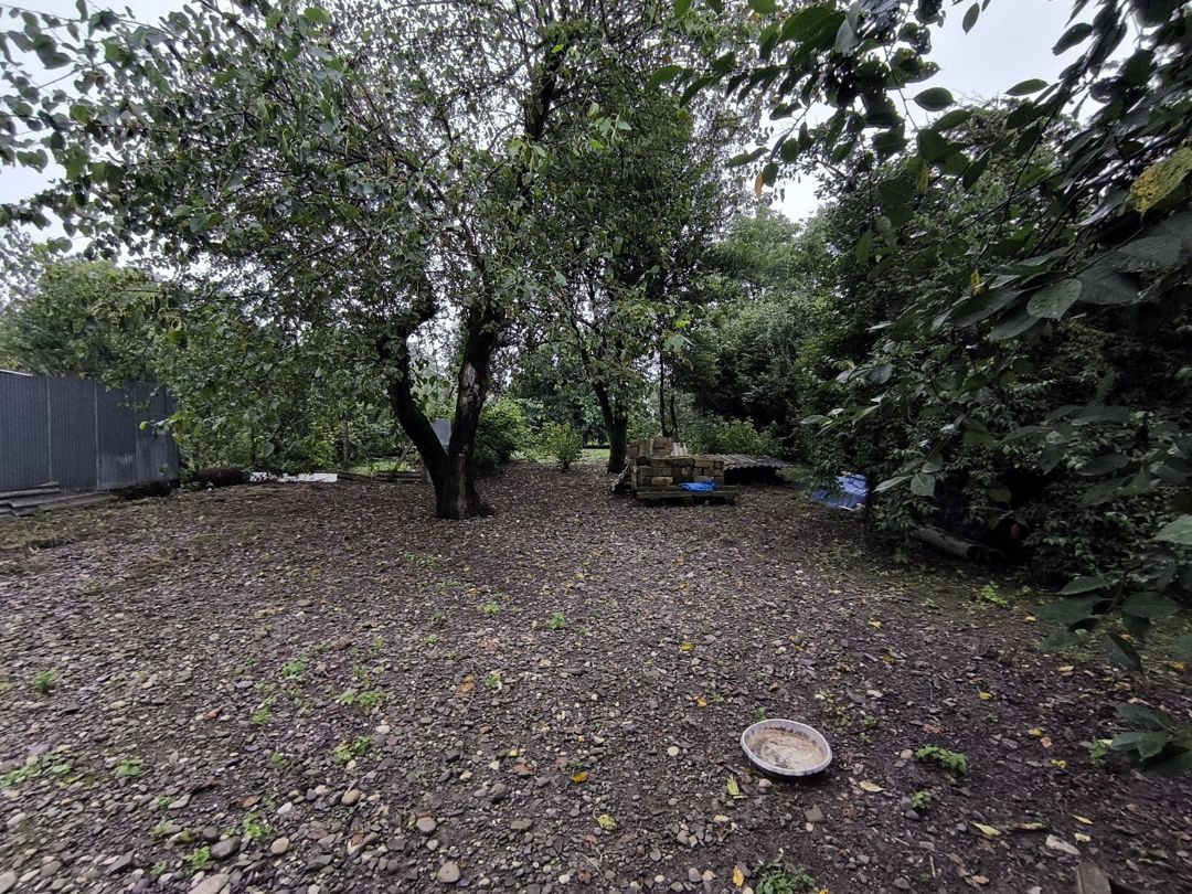 16.5 sot torpaq sahəsi, Qusar r — Torpaq, Qusar (2)