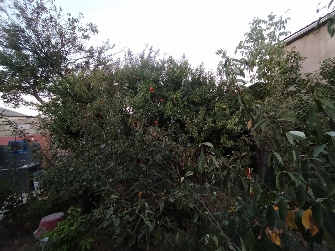 Həyət evi, Xırdalan ş — Ev, villa, Xırdalan (2)
