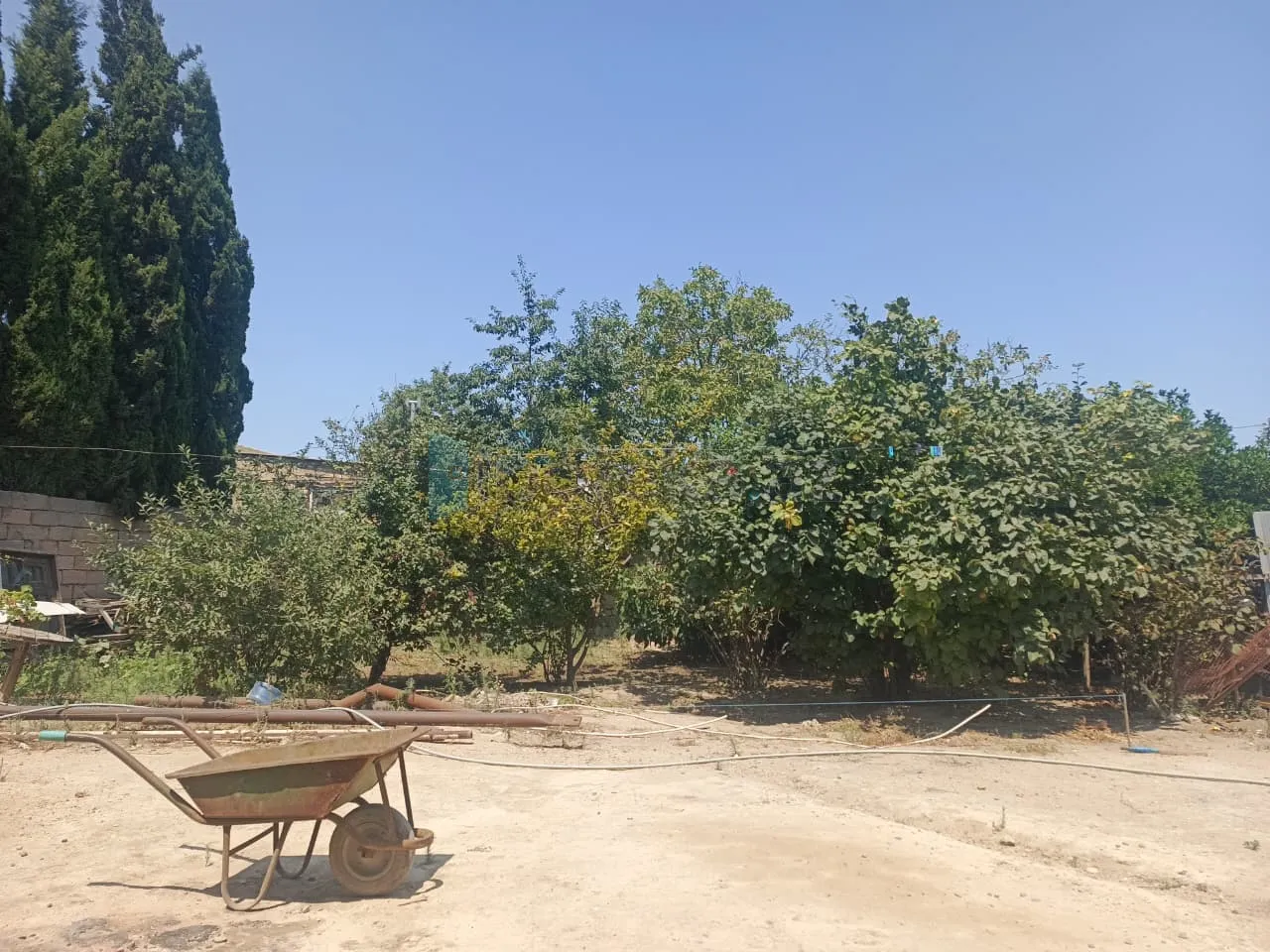 Satılır: Torpaq, Abşeron r., Məhəmmədli q., 6.00 sot — Torpaq, Məhəmmədli (5)