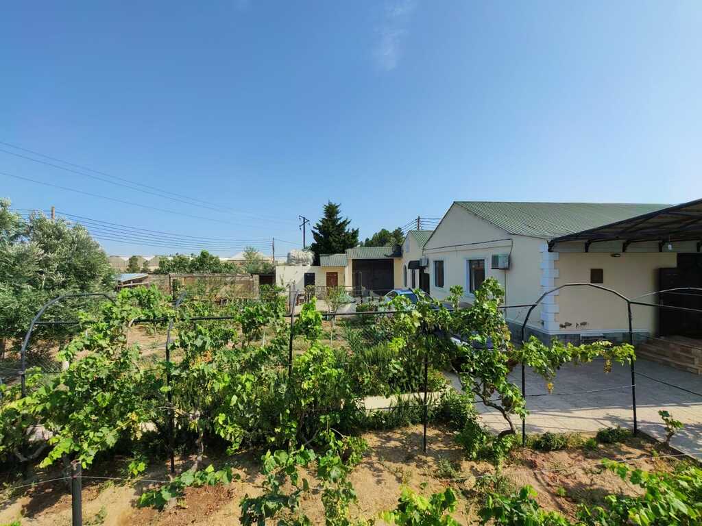 Bağ evi, Zirə qəs — Ev, villa, Bakı (2)