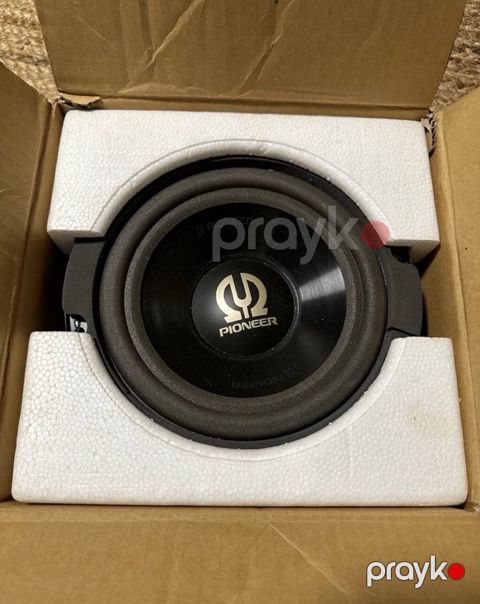 Dinamik Pioneer TS-W201F Sub