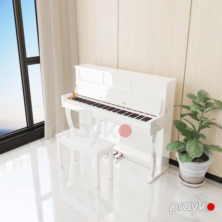 Elektro piano "Allegro, AG-880 Polısh White" — Musiqiə alətləri, Bakı (10)