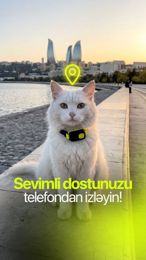 GPS izləmə cihazı — Bakı