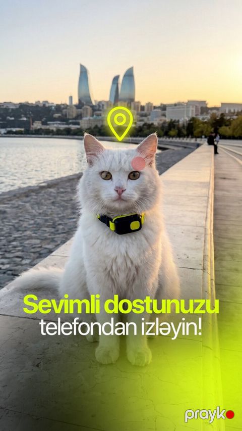 GPS izləmə cihazı — GPSNAV MMC