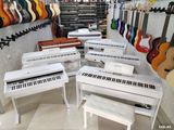 Elektron pianolar "OEM" — RAST Musiqi alətləri — Musical Instruments