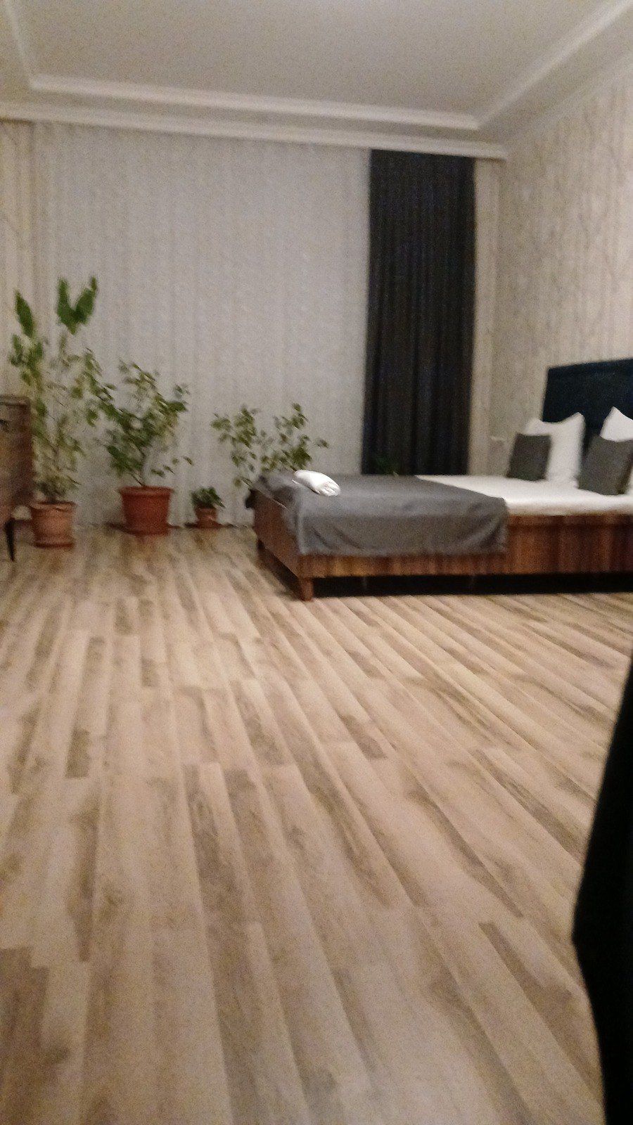 Bağ evi kirayə verilir, İsmayıllı r — Ev, villa, İsmayıllı (5)