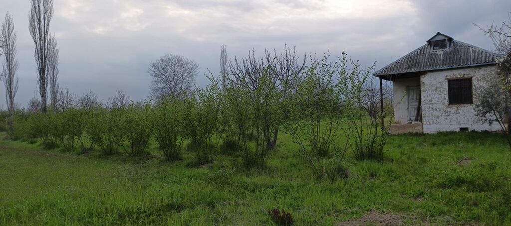 27 sot, Tikinti, Kupça (Çıxarış) — Torpaq, Xudat (7)