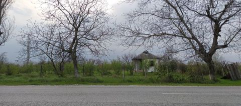 27 sot, Tikinti, Kupça (Çıxarış) — Xudat