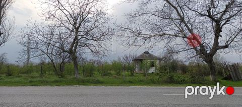 27 sot, Tikinti, Kupça (Çıxarış)