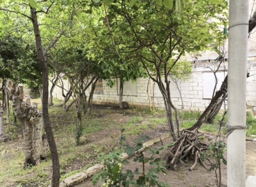 Satılır 5 otaqlı həyət evi/bağ evi 129 m² — Ev, villa, Xırdalan (5)