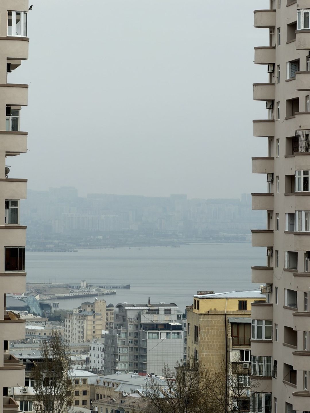Satılır 4 otaqlı yeni tikili 230 m² — Mənzil, Bakı (3)