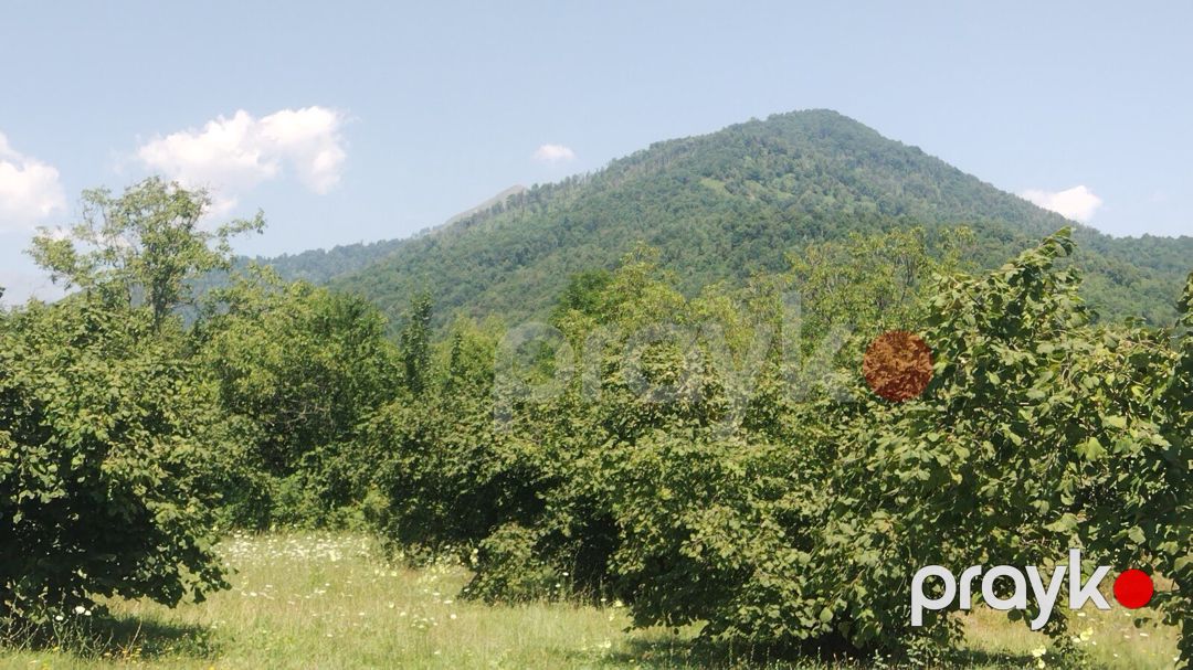 Satılır torpaq 56 sot — Torpaq, Qəbələ (3)