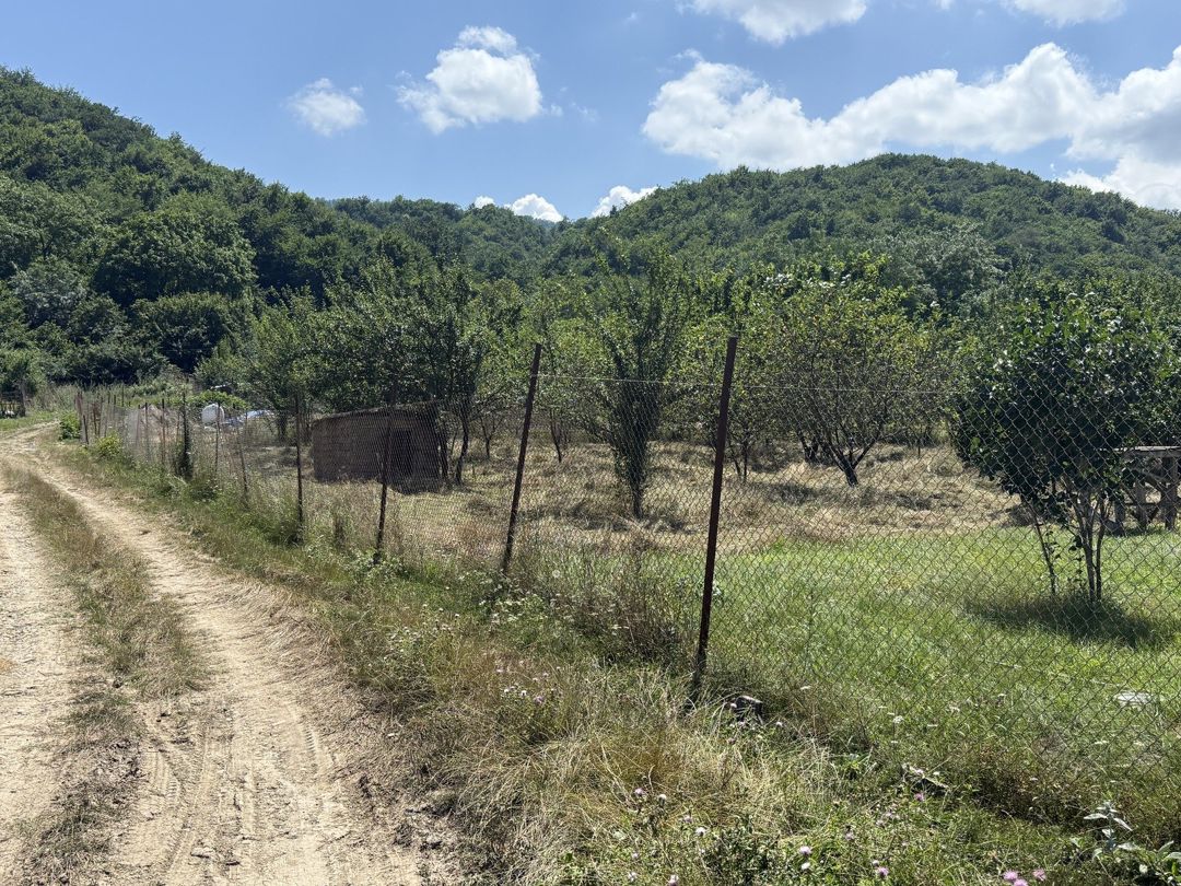 Satılır torpaq 21 sot — Torpaq, Qusar (10)