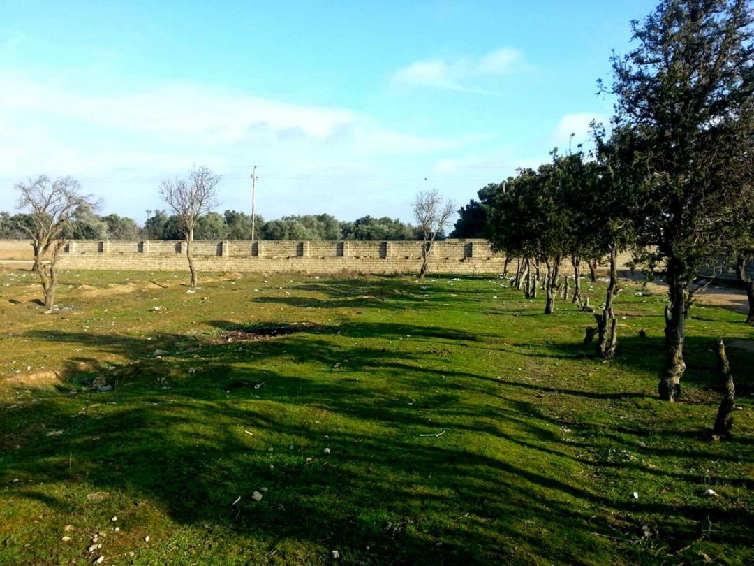 Satılır torpaq 12 sot — Torpaq, Bakı (3)