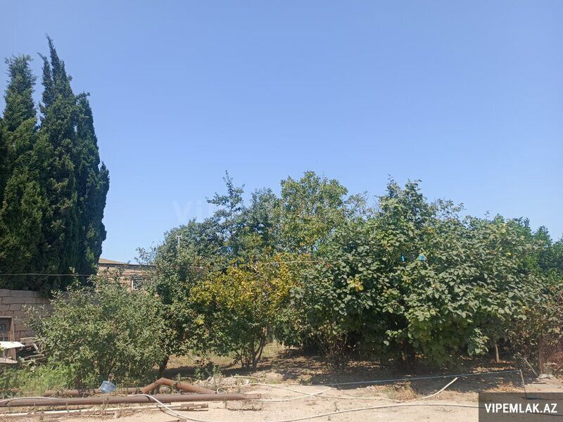 Sabunçu rayonunda Torpaq Satılır, 6 sot — Torpaq, Bakı (3)