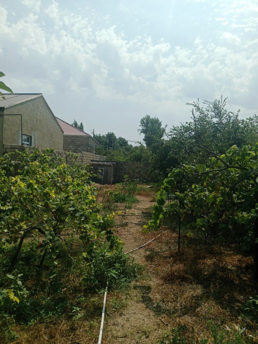 İcarəyə verilir 3 otaqlı həyət evi/bağ evi 120 m² — Ev, villa, Bakı (2)