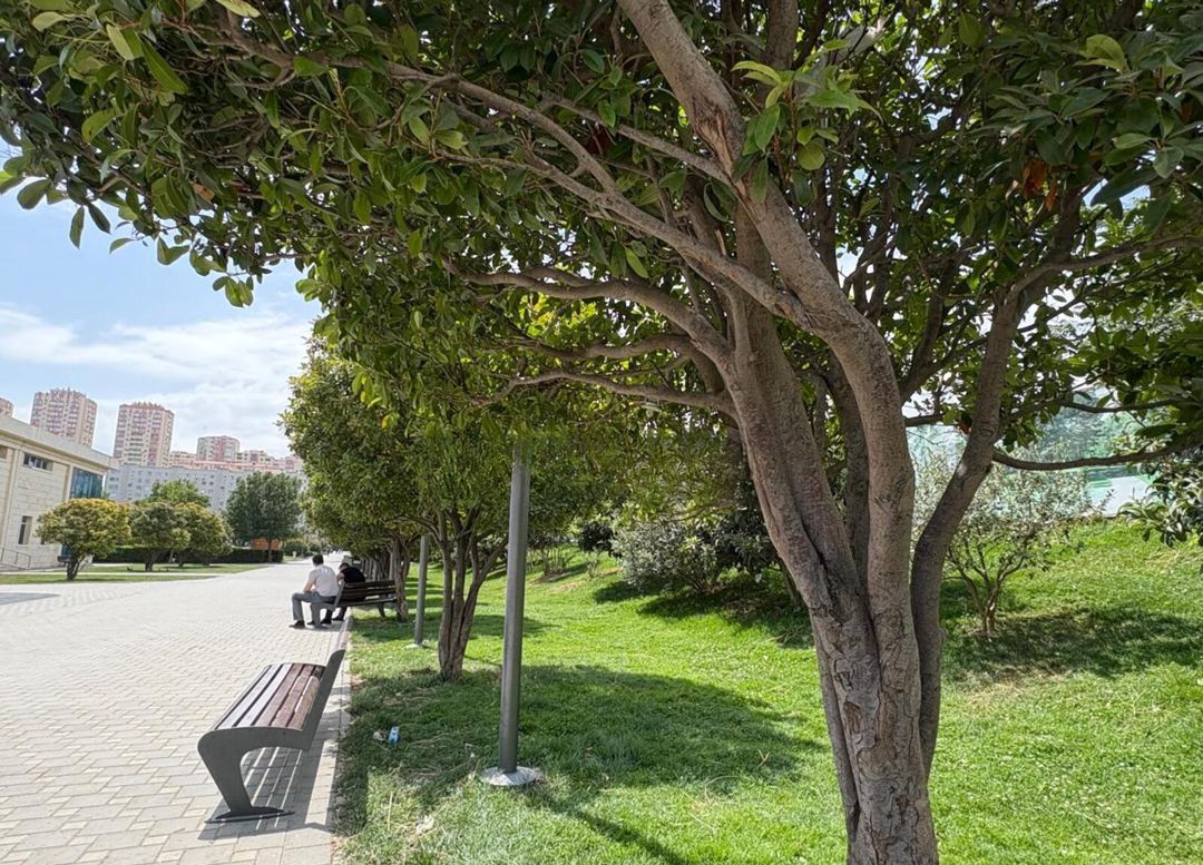Satılır 2 otaqlı yeni tikili 75 m² — Mənzil, Bakı (11)