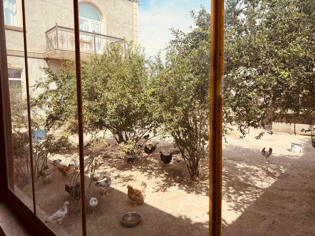 Satılır 6 otaqlı həyət evi/bağ evi 250 m² — Ev, villa, Bakı (10)