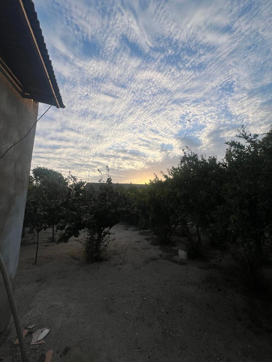 Satılır torpaq 7 sot — Torpaq, Bakı (5)