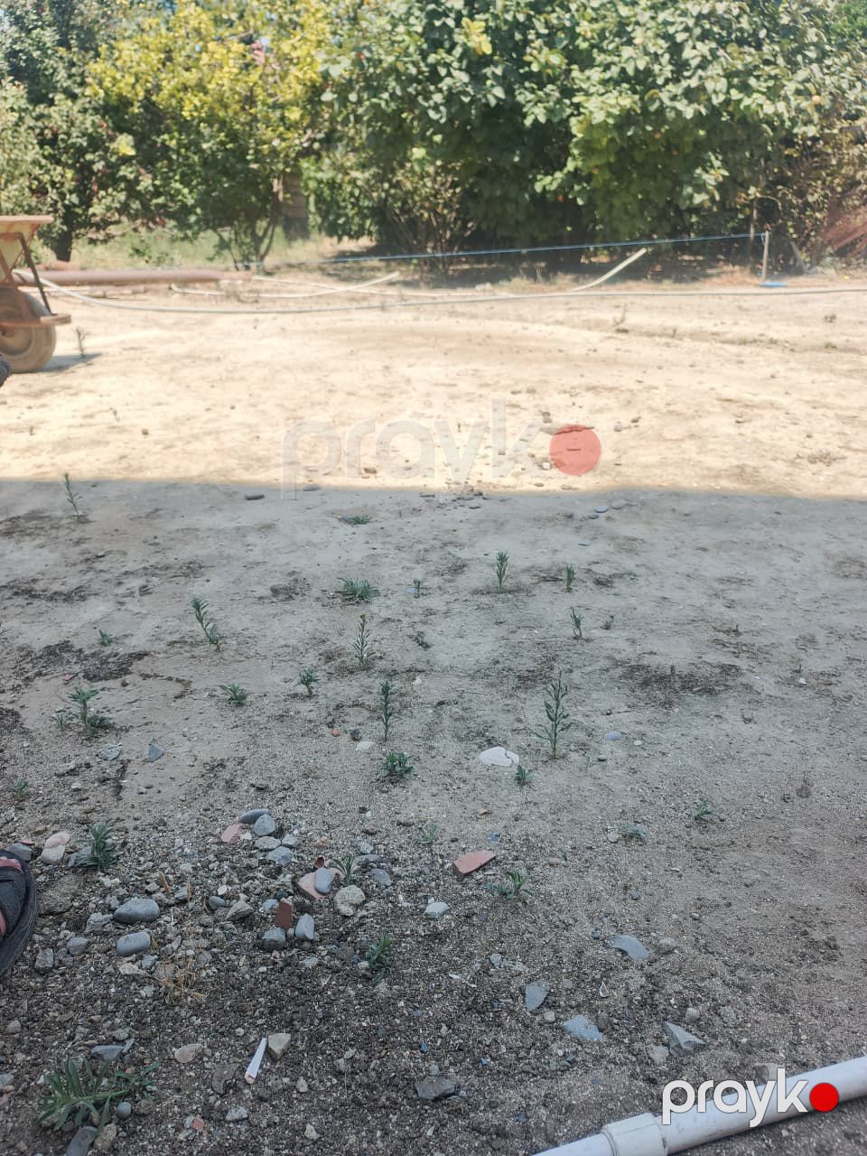 Satış: Torpaq, 6 sot, Abşeron rayonu — Torpaq, Bakı (6)