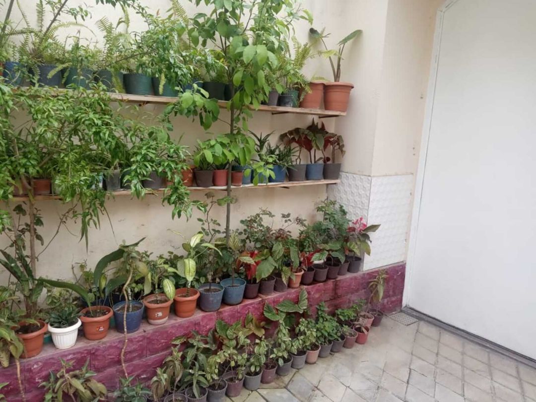 Satılır 6 otaqlı həyət evi/bağ evi 420 m² — Ev, villa, Bakı (2)