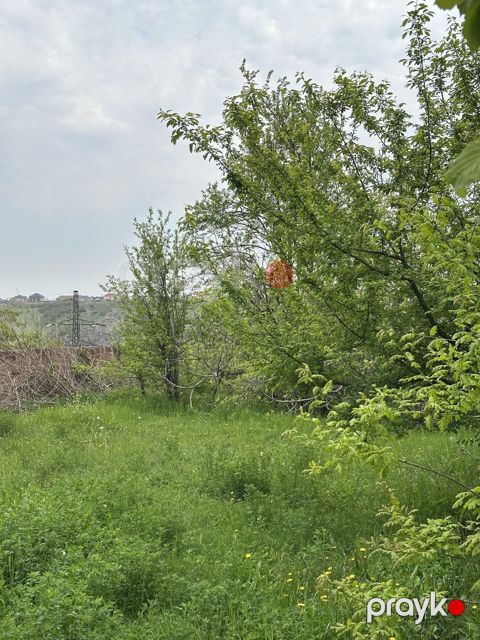 Satılır torpaq 31 sot